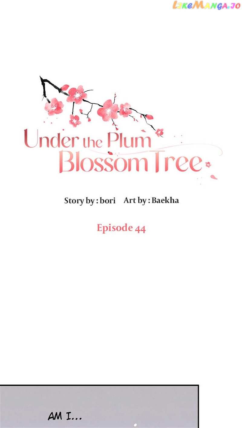 Under the Plum Blossom Tree Chapter 44 - page 1