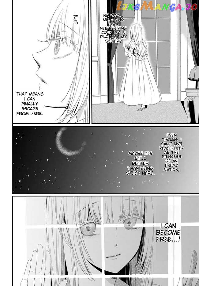 Kokurou Ou to Shirogane no Niehime Chapter 1 - page 27