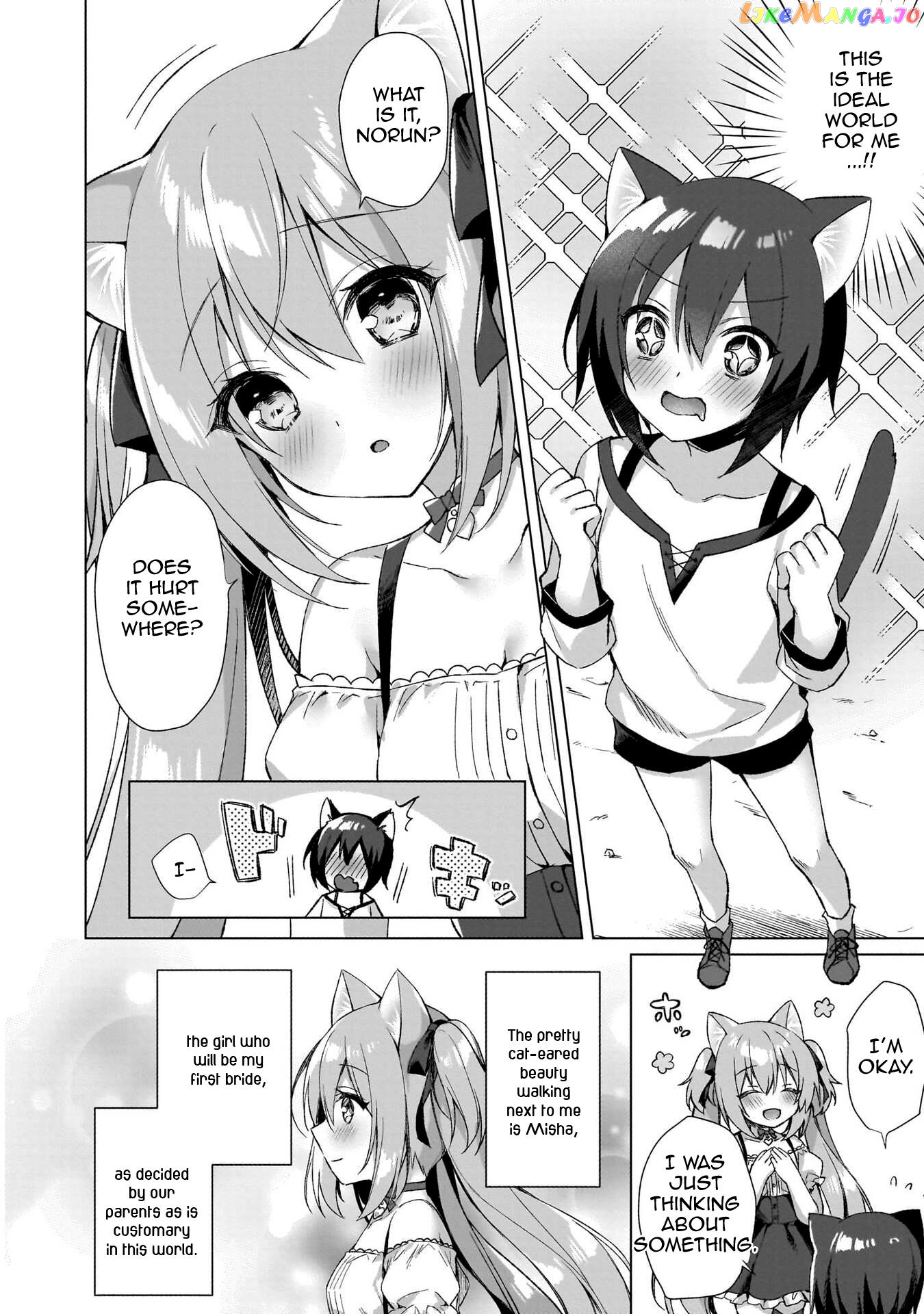 Boku No Risou No Isekai Seikatsu ~Tensei Shitara Kemomimi Musume Darake No Sekai De Harem Ni~ chapter 1 - page 15