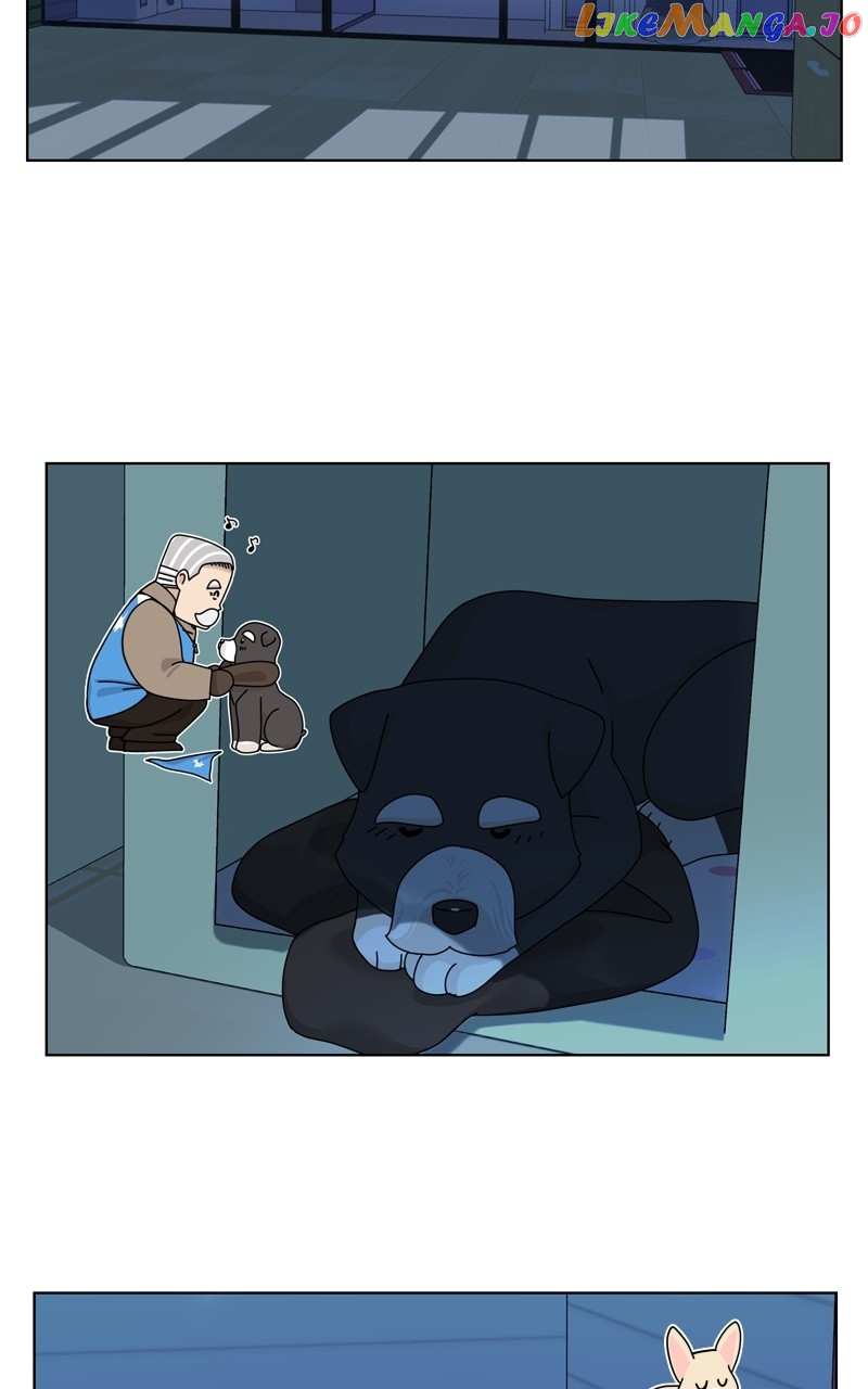 The Dog Diaries Chapter 132 - page 36