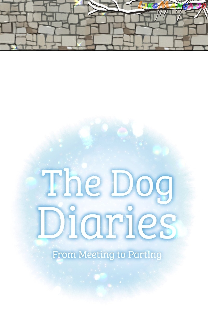 The Dog Diaries Chapter 134 - page 4