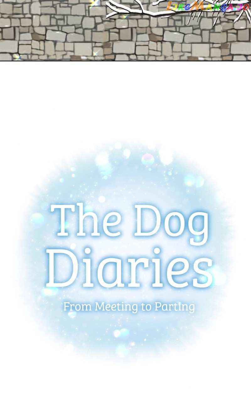 The Dog Diaries Chapter 134 - page 4