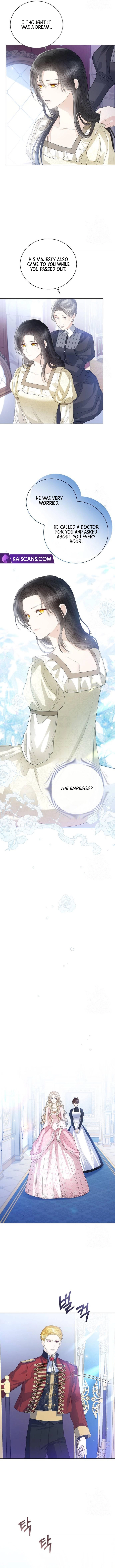 I Abdicate My Title of Empress Chapter 35 - page 5