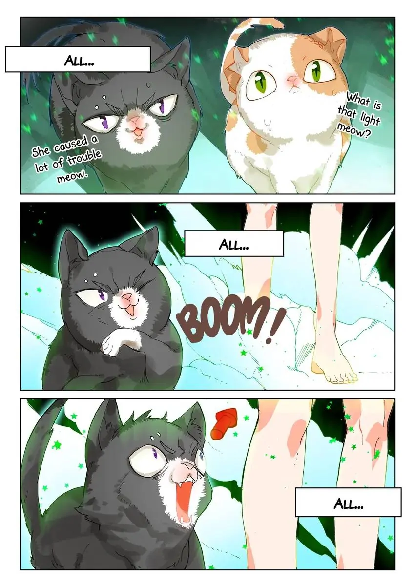 Catbox Reverse Chapter 29.6 - page 7