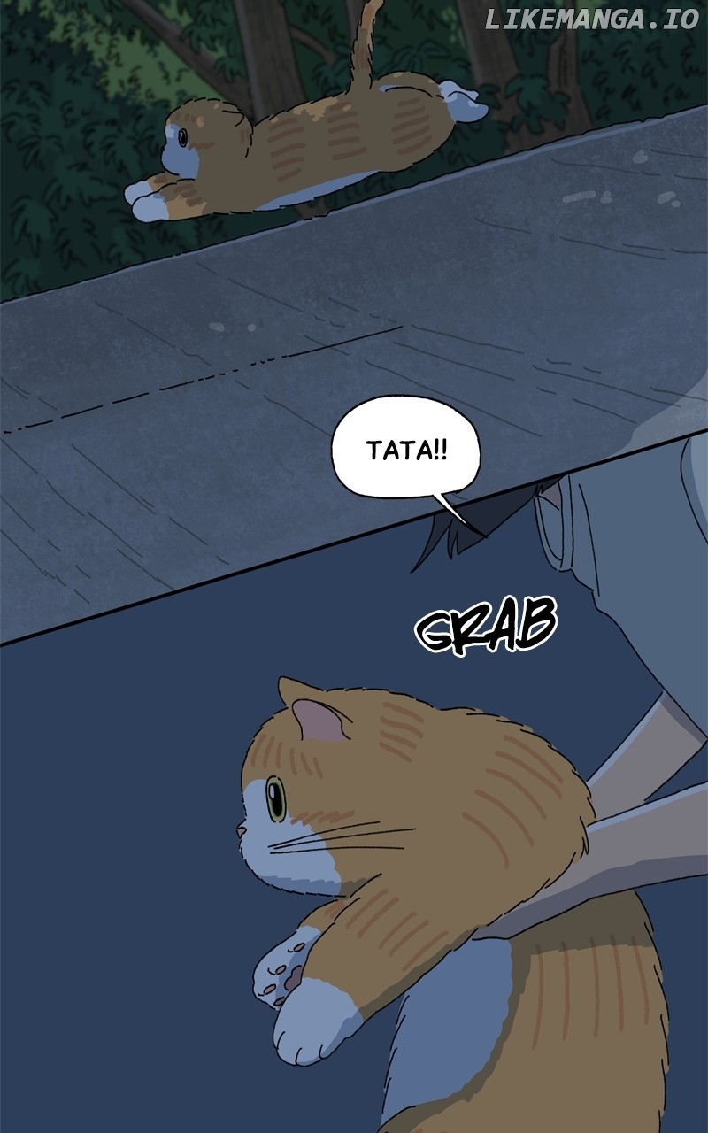 Tata The Cat Chapter 26 - page 26