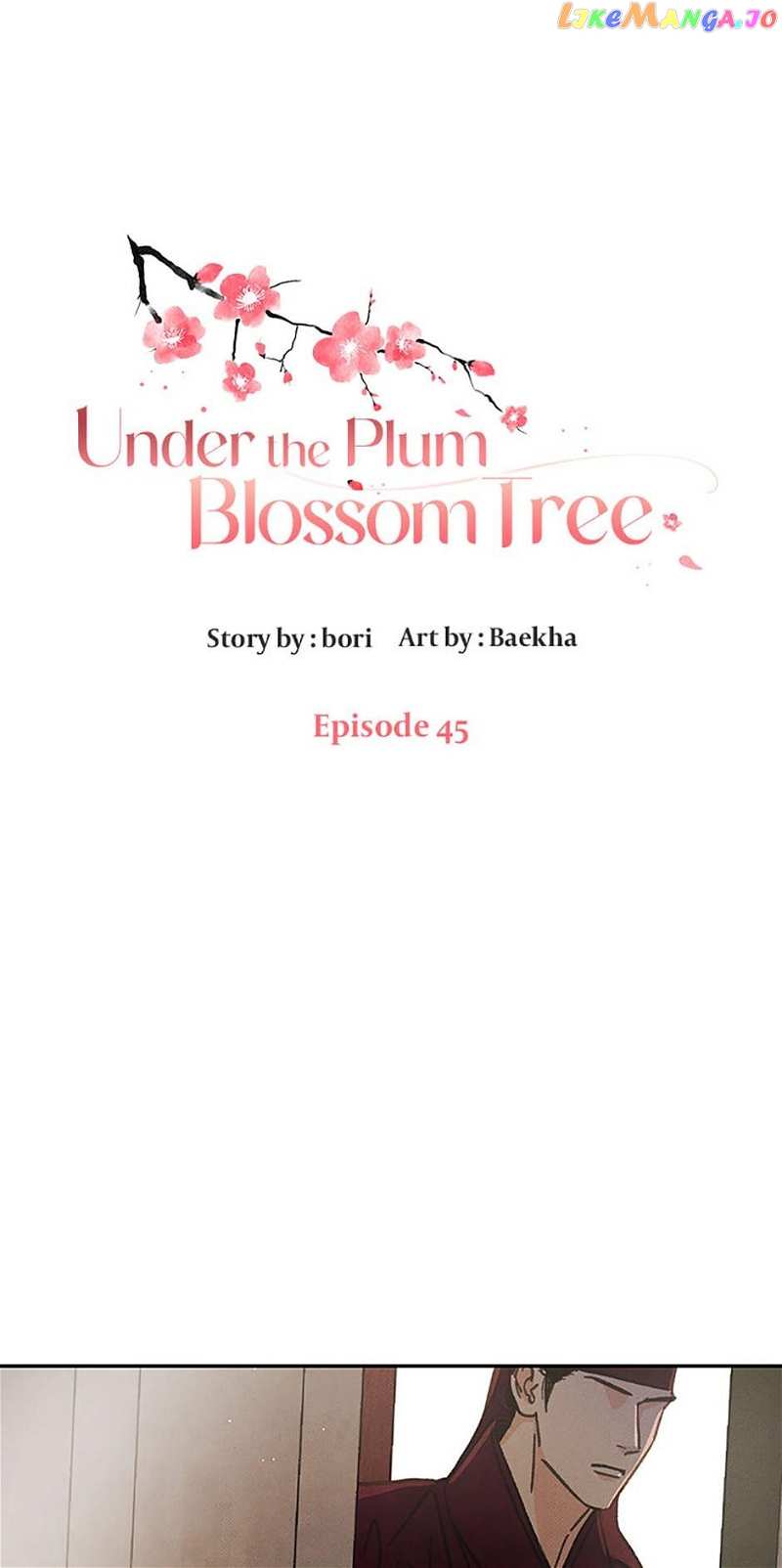Under the Plum Blossom Tree Chapter 45 - page 1