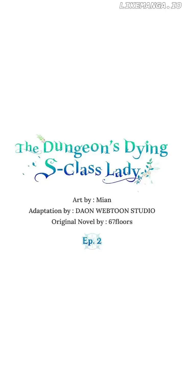 The Dungeon's Dying S-Class Lady Chapter 2 - page 1