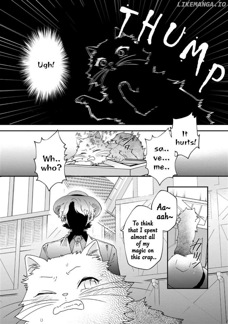 The Villainess wants to get rid of her husband! -I was doing whatever I wanted, but for some reason it was called "The Crown Prince's Book"~ chapter 6.5 - page 20
