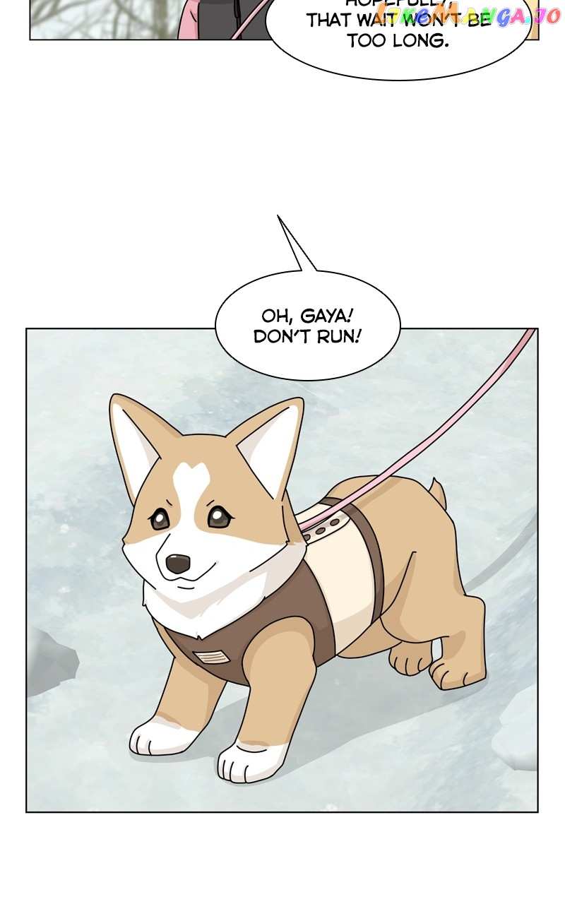 The Dog Diaries Chapter 135 - page 5