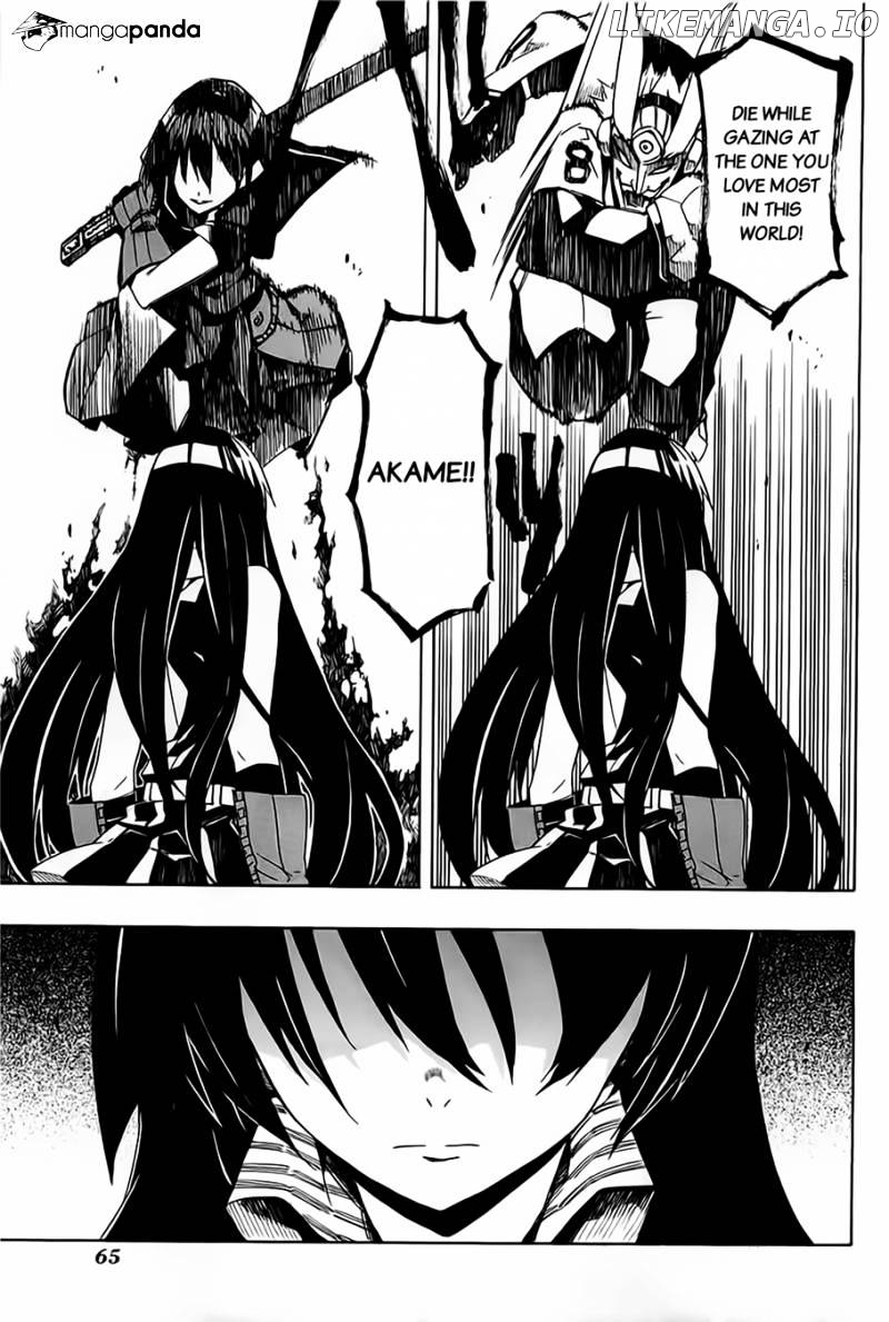 Akame ga Kill! chapter 6 - page 29