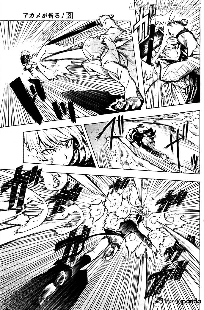 Akame ga Kill! chapter 13 - page 11