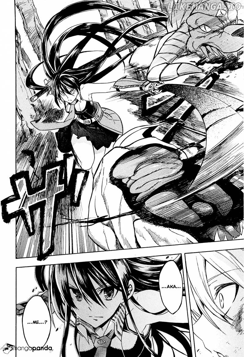 Akame ga Kill! chapter 19 - page 14