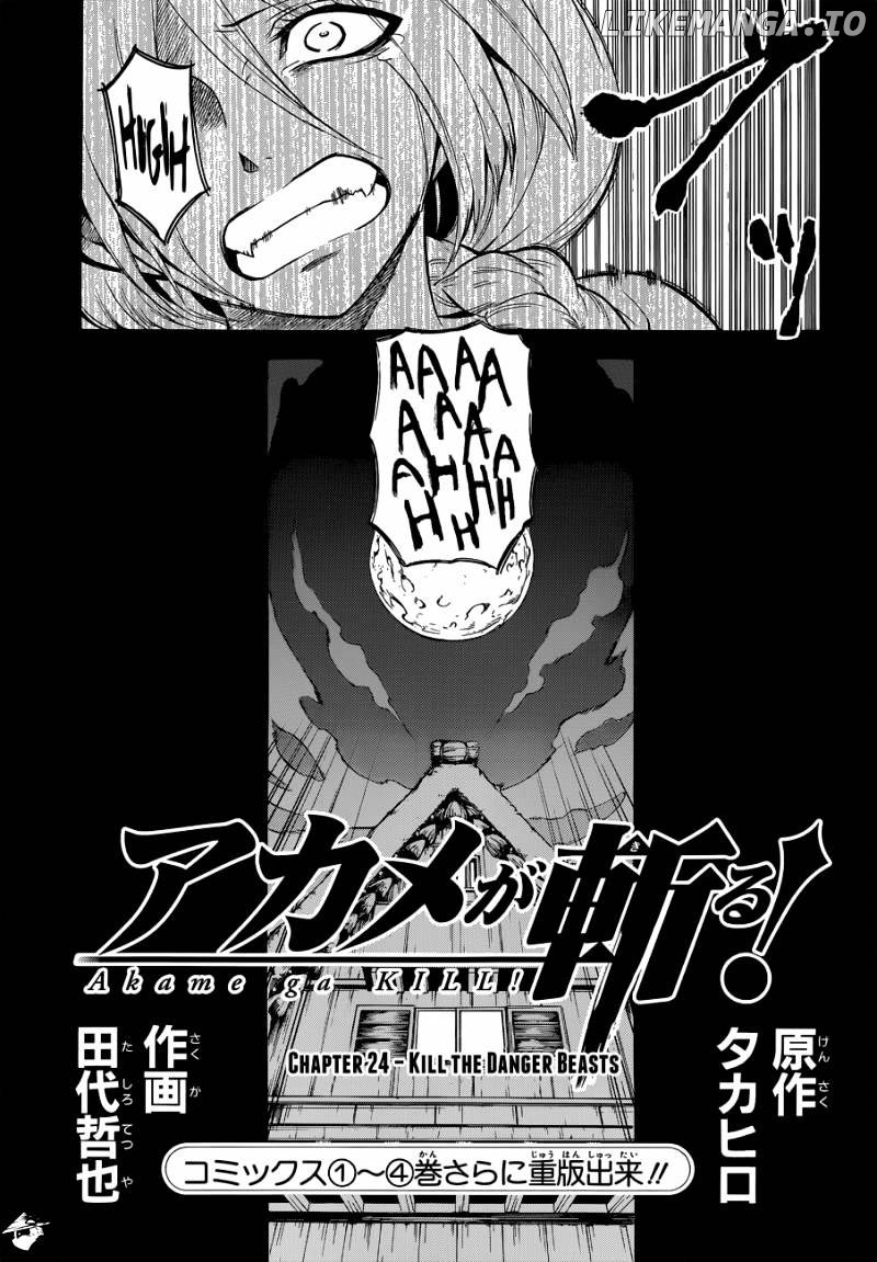 Akame ga Kill! chapter 24 - page 3