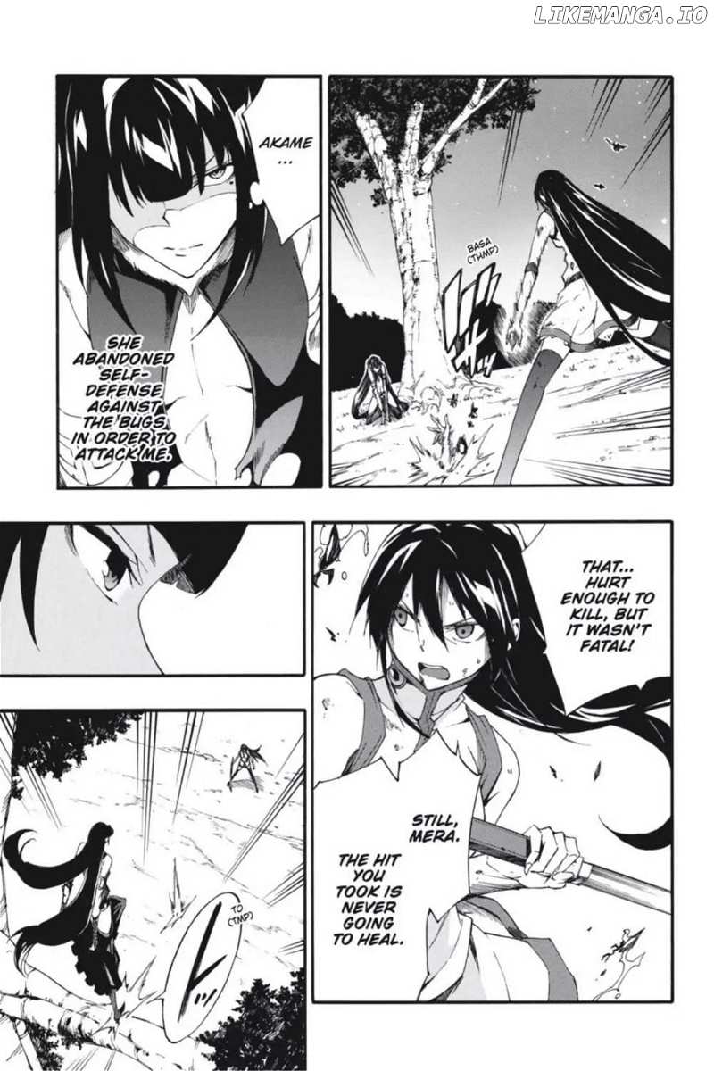 Akame ga Kiru! Zero chapter 42 - page 13