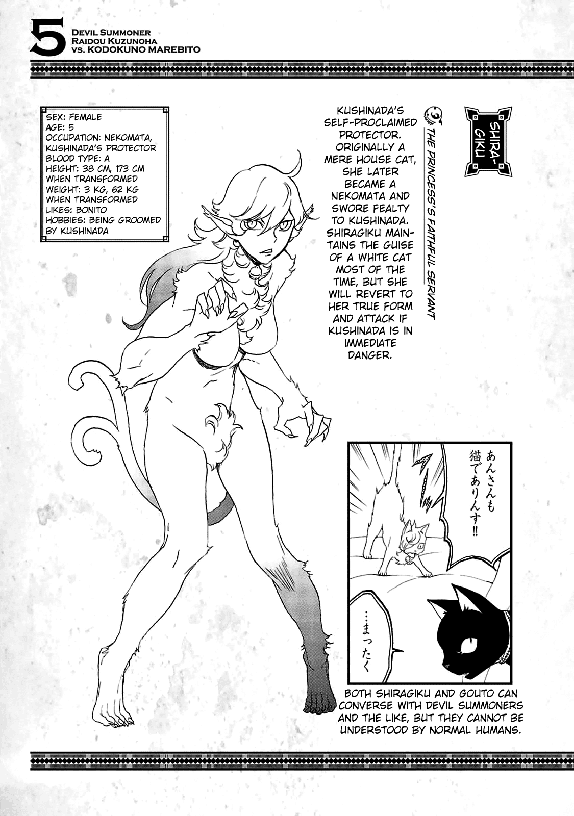 Devil Summoner - Kuzunoha Raidou Tai Kodoku no Marebito chapter 29.5 - page 18