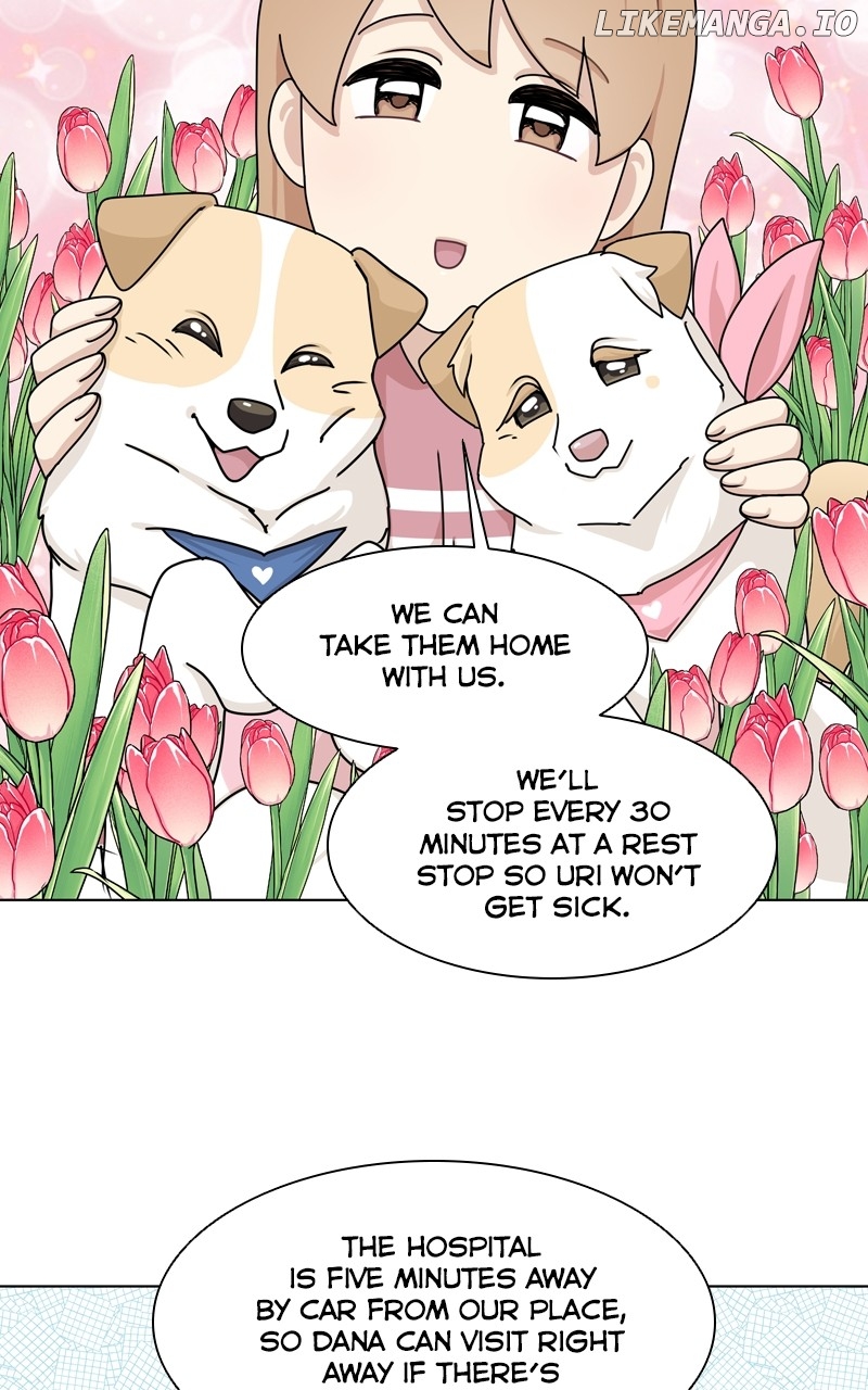 The Dog Diaries Chapter 143 - page 62