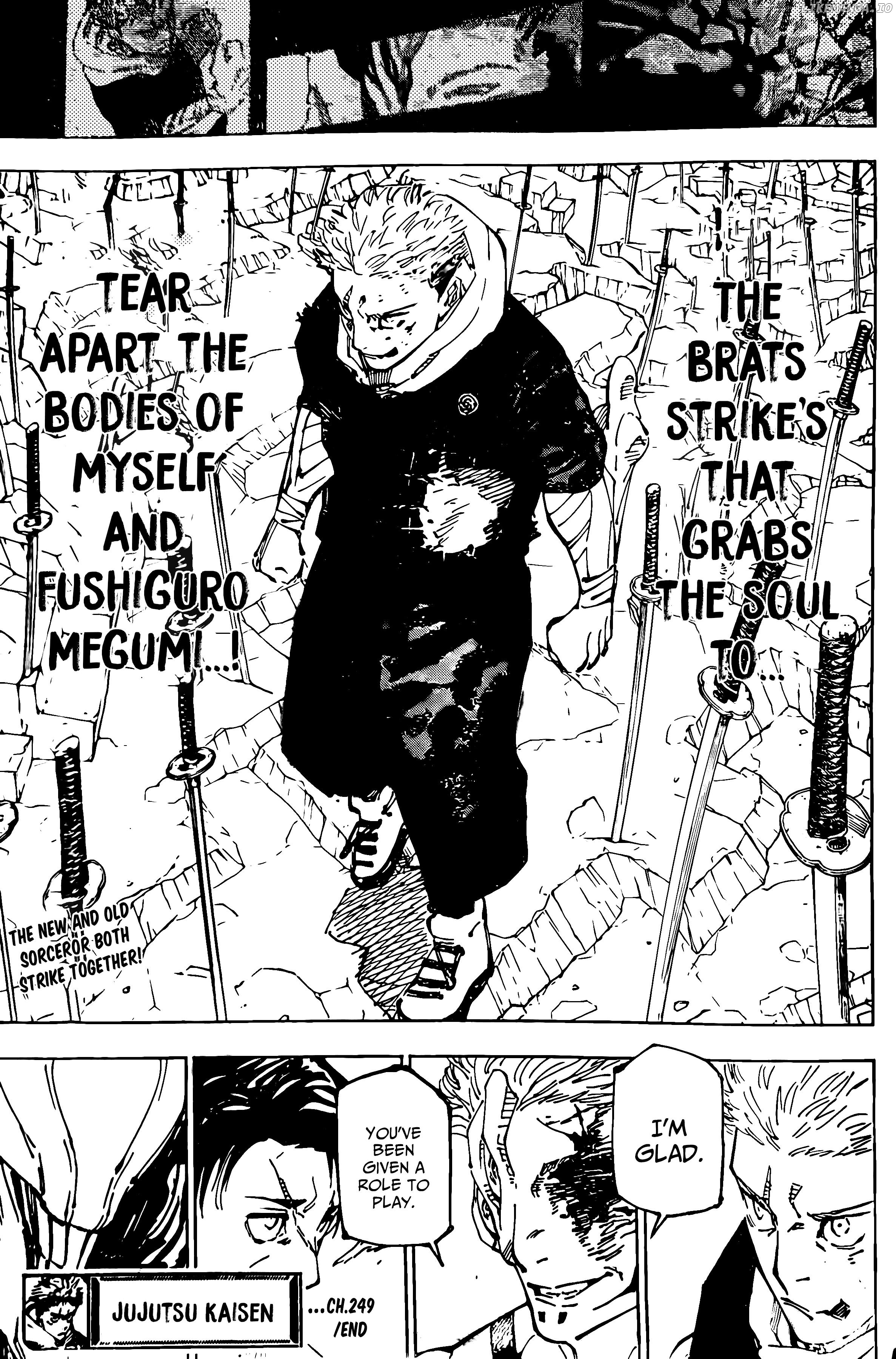 Jujutsu Kaisen Chapter 249 - page 17