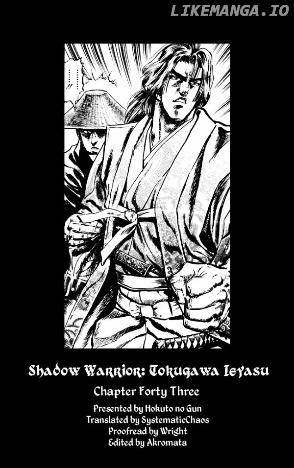 Kagemusha - Tokugawa Ieyasu chapter 43 - page 30