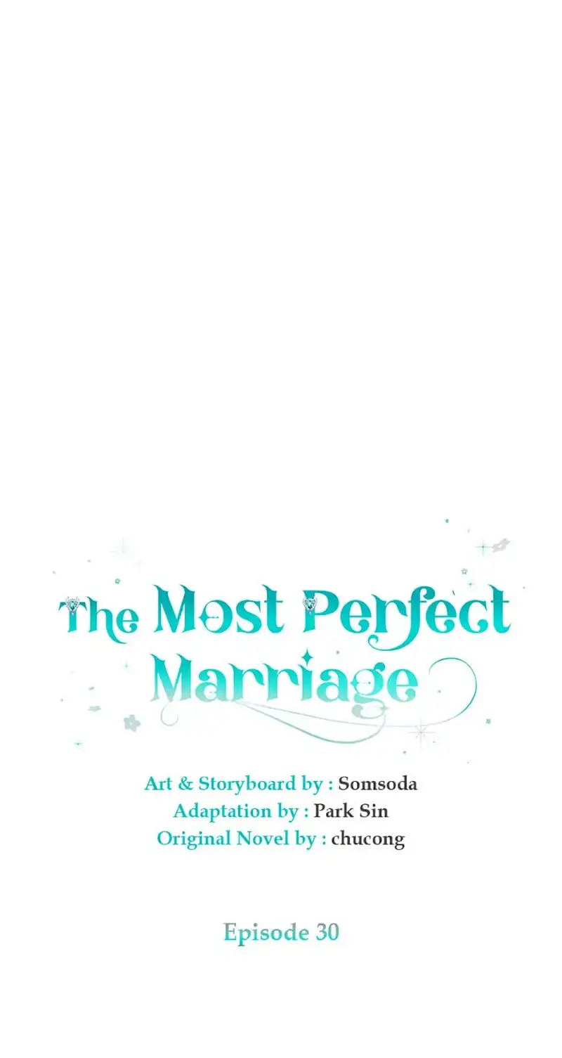 The Most Perfect Marriage Chapter 30 - page 46