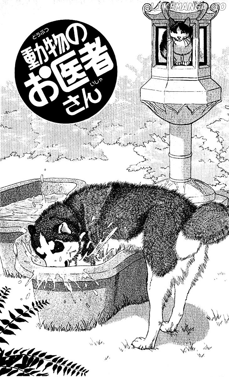 Doubutsu no Oishasan chapter 75 - page 3