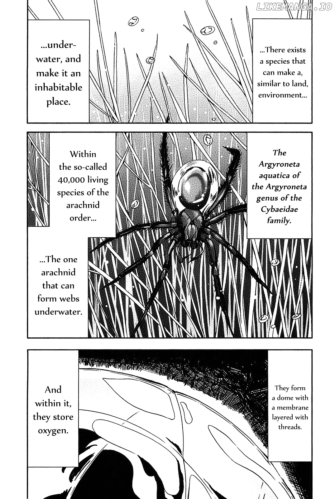 Arachnid chapter 20 - page 14
