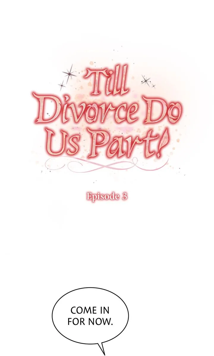 Till Divorce Do Us Part! Chapter 3 - page 1