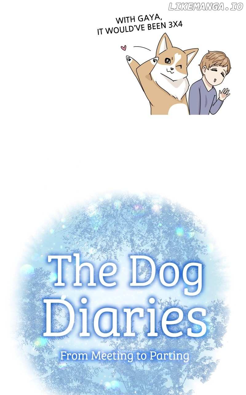 The Dog Diaries Chapter 144 - page 16