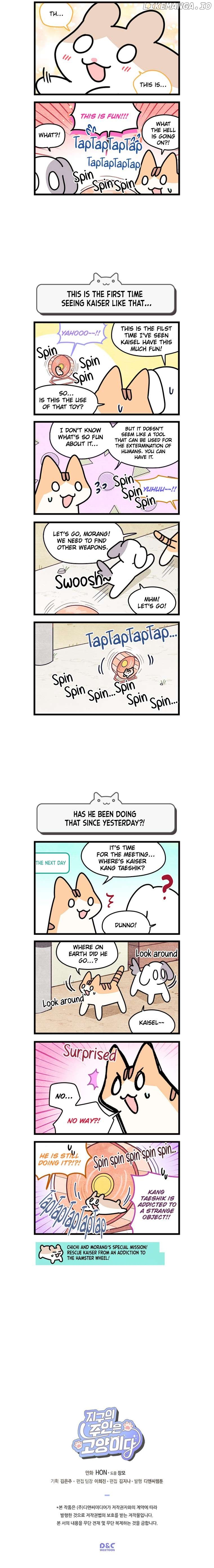 Cats Own The World Chapter 144 - page 3