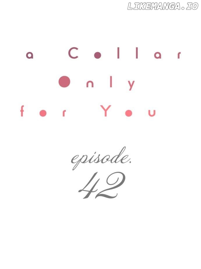 A Collar Only For You Chapter 42 - page 1