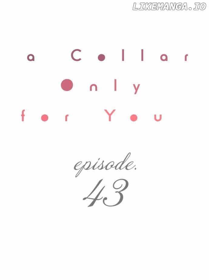 A Collar Only For You Chapter 43 - page 1