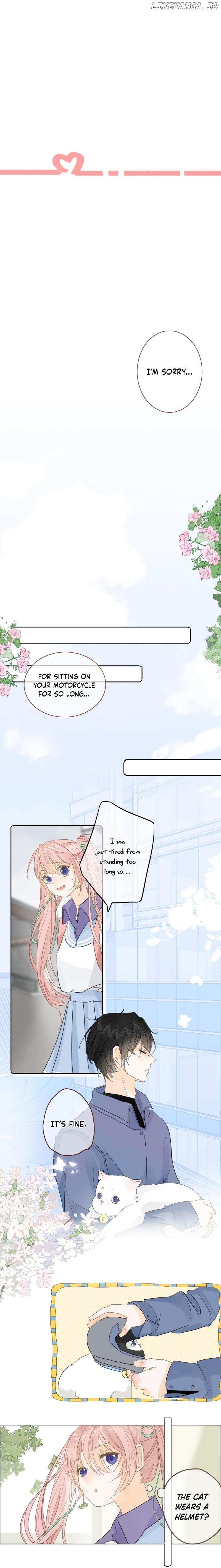 Notes on Cherry Blossom Chapter 8 - page 4