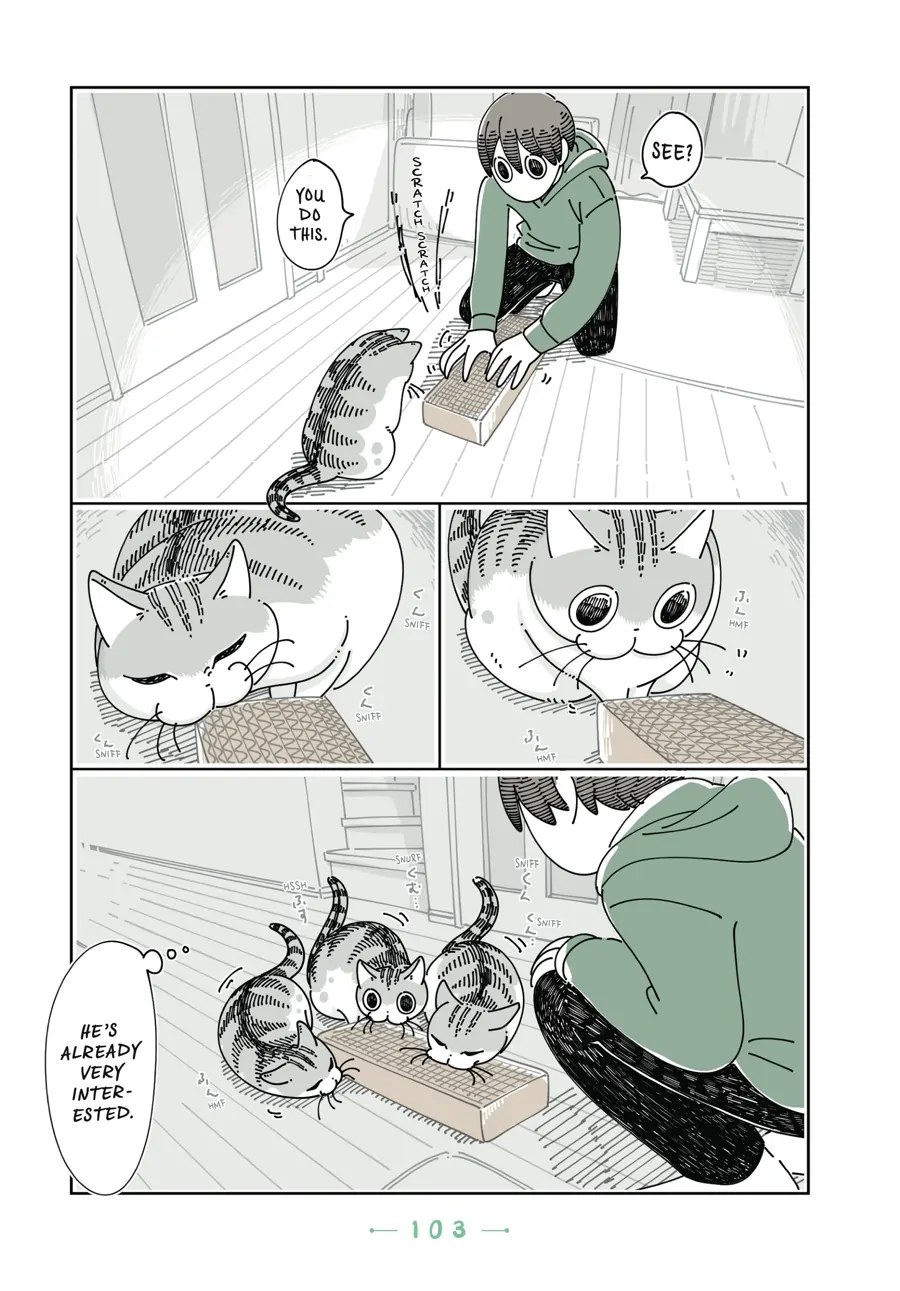 Nights with a Cat Chapter 91 - page 6