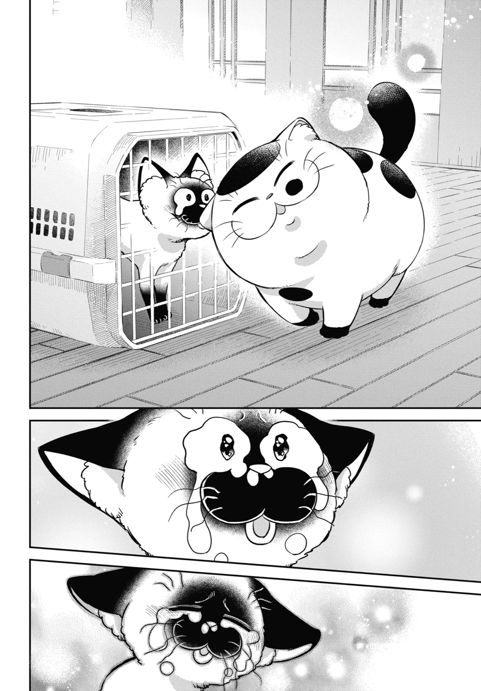 Ojisama to Neko chapter 91 - page 16