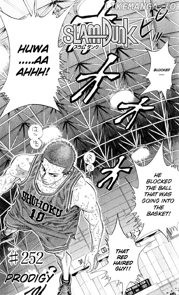 Slam Dunk Chapter 252 - page 5