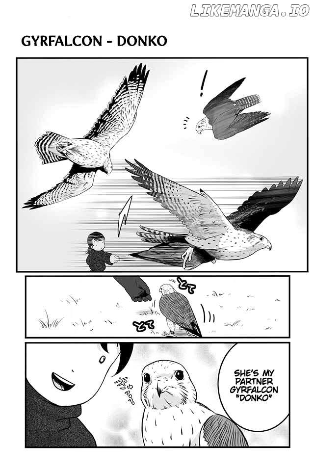 Hawk Master, It's Hunting Time! chapter 4 - page 2