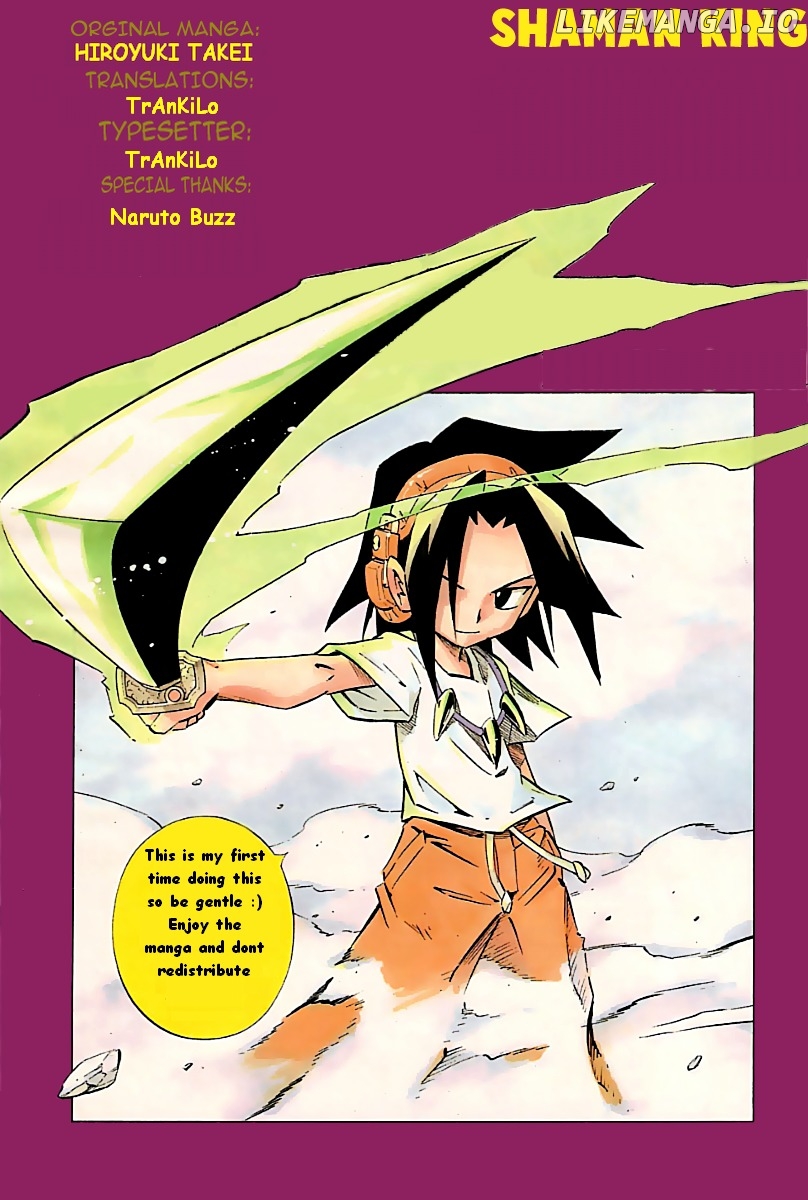 Shaman King Chapter 274 - page 17