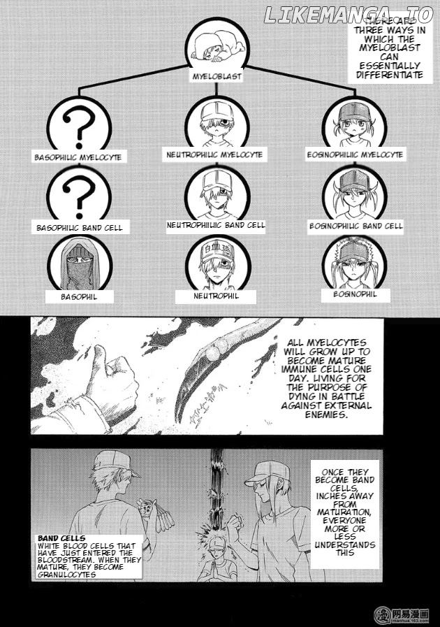 Hataraku Saibou chapter 27 - page 4