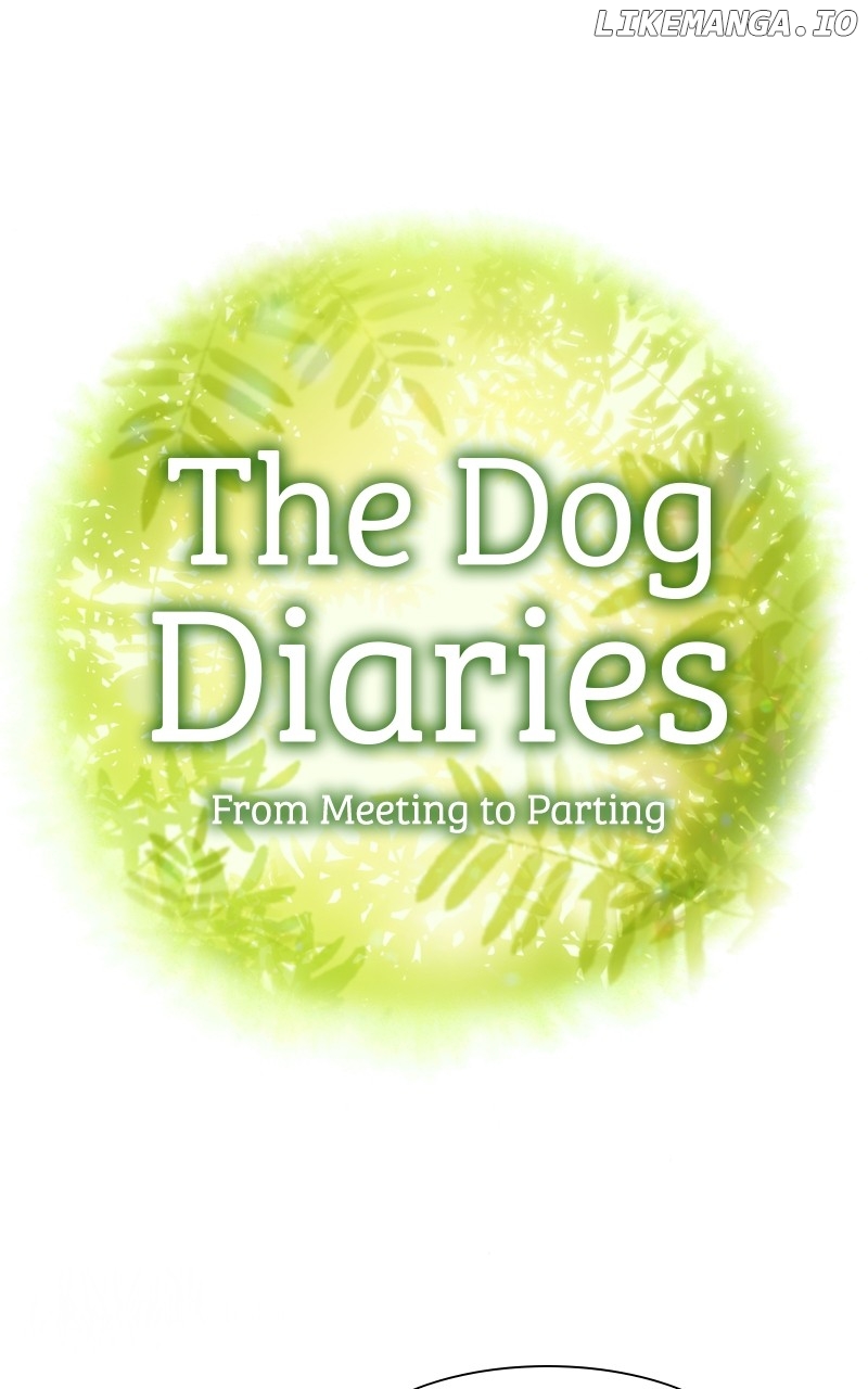 The Dog Diaries Chapter 149 - page 1
