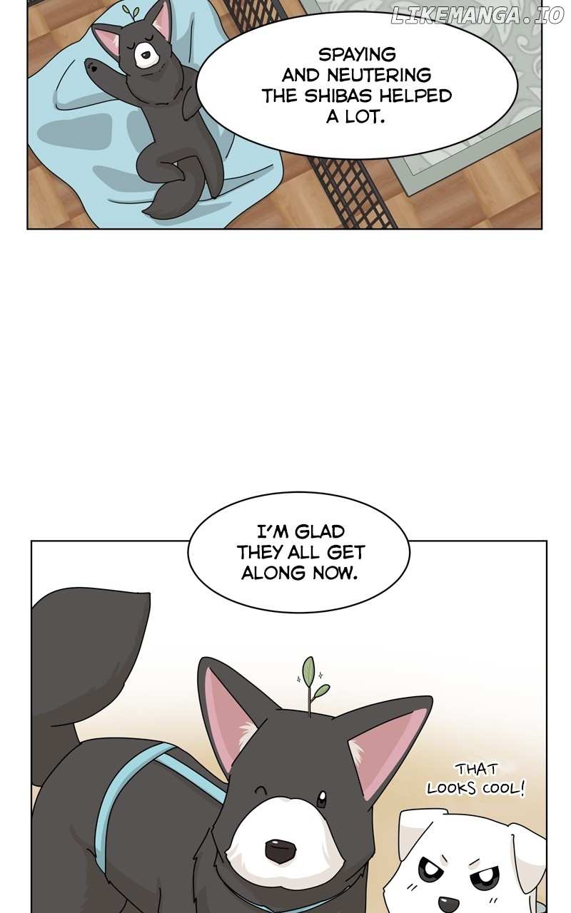 The Dog Diaries Chapter 149 - page 6