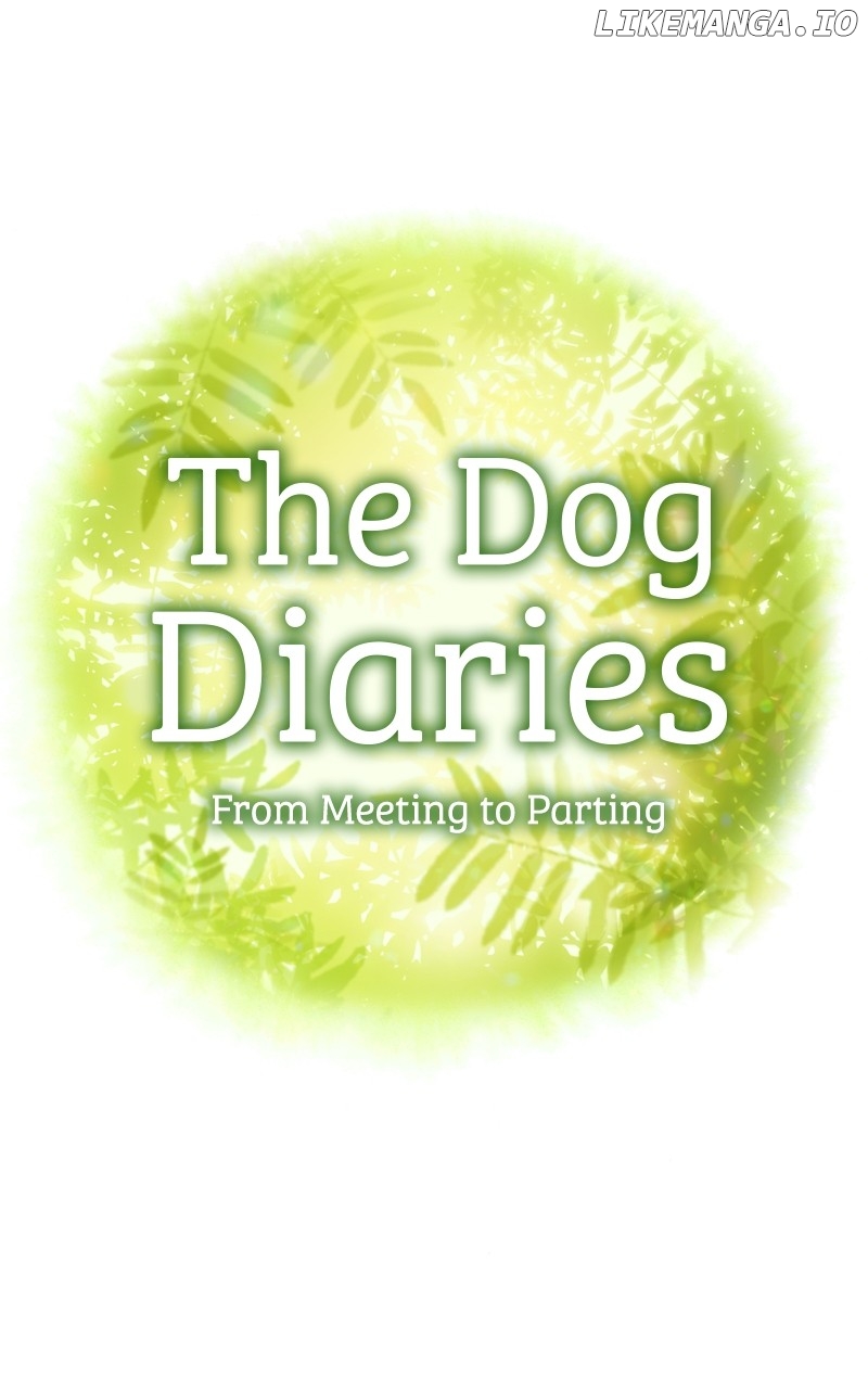 The Dog Diaries Chapter 150 - page 1