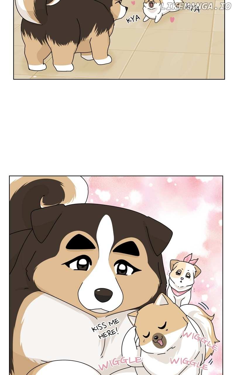 The Dog Diaries Chapter 152 - page 19