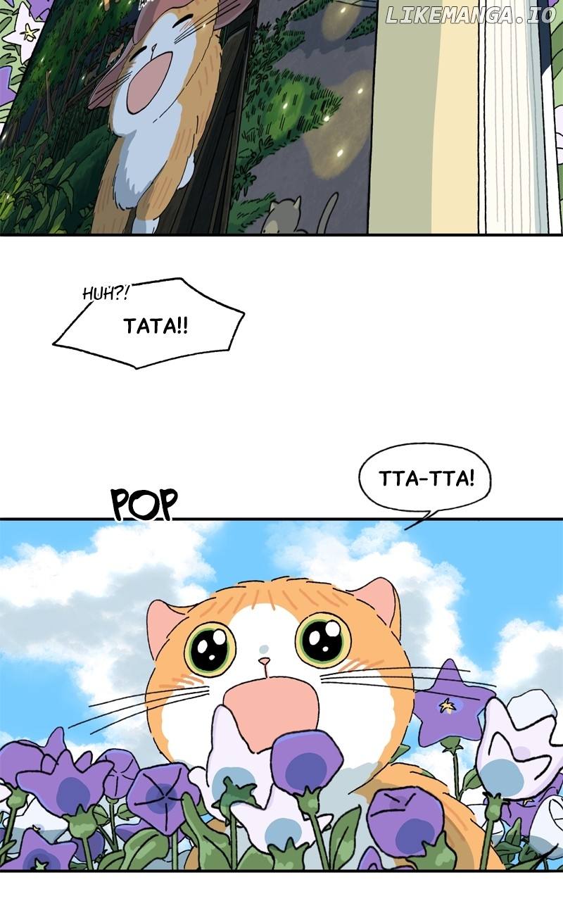 Tata The Cat Chapter 44 - page 46