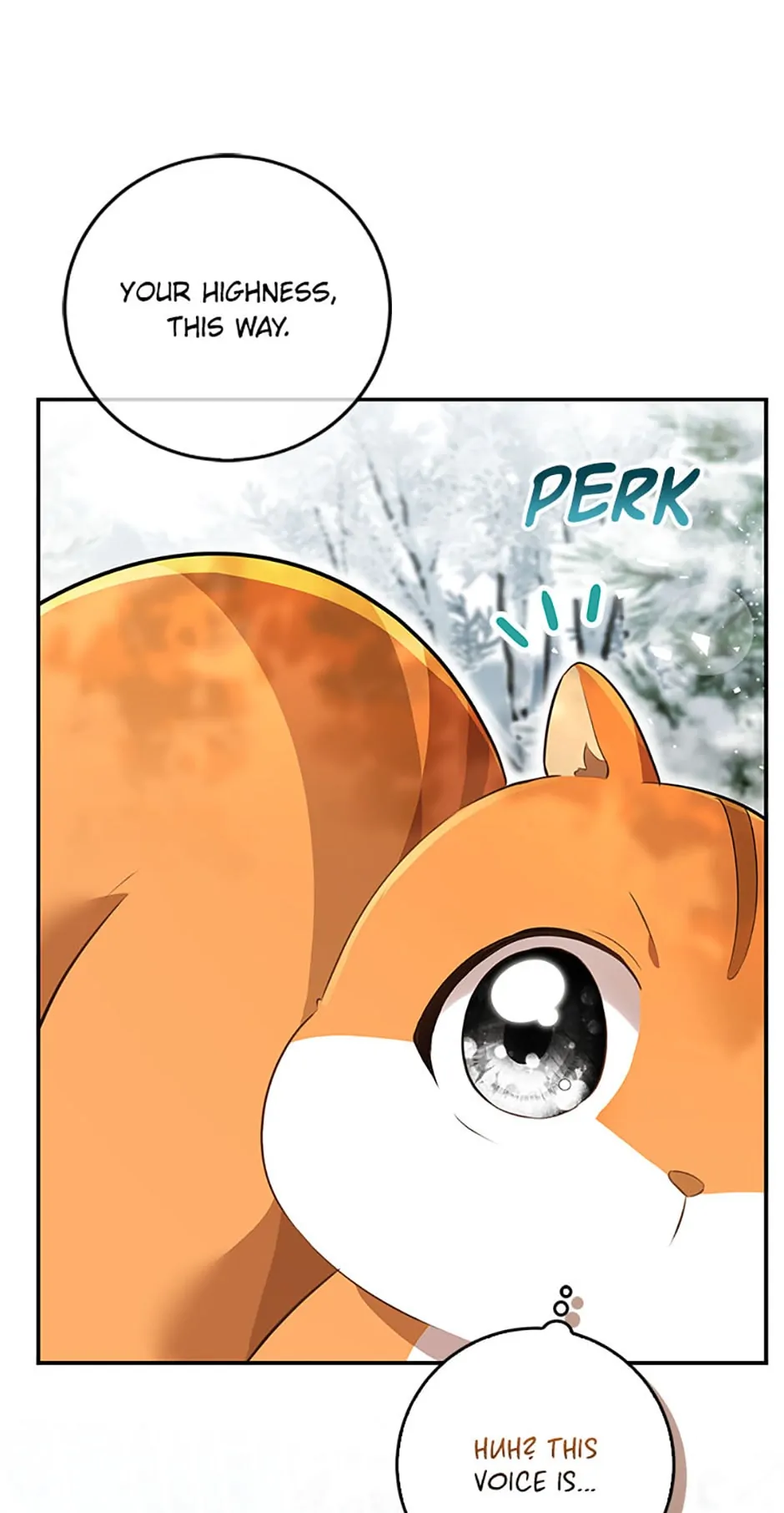 Talented baby squirrel Chapter 48 - page 44
