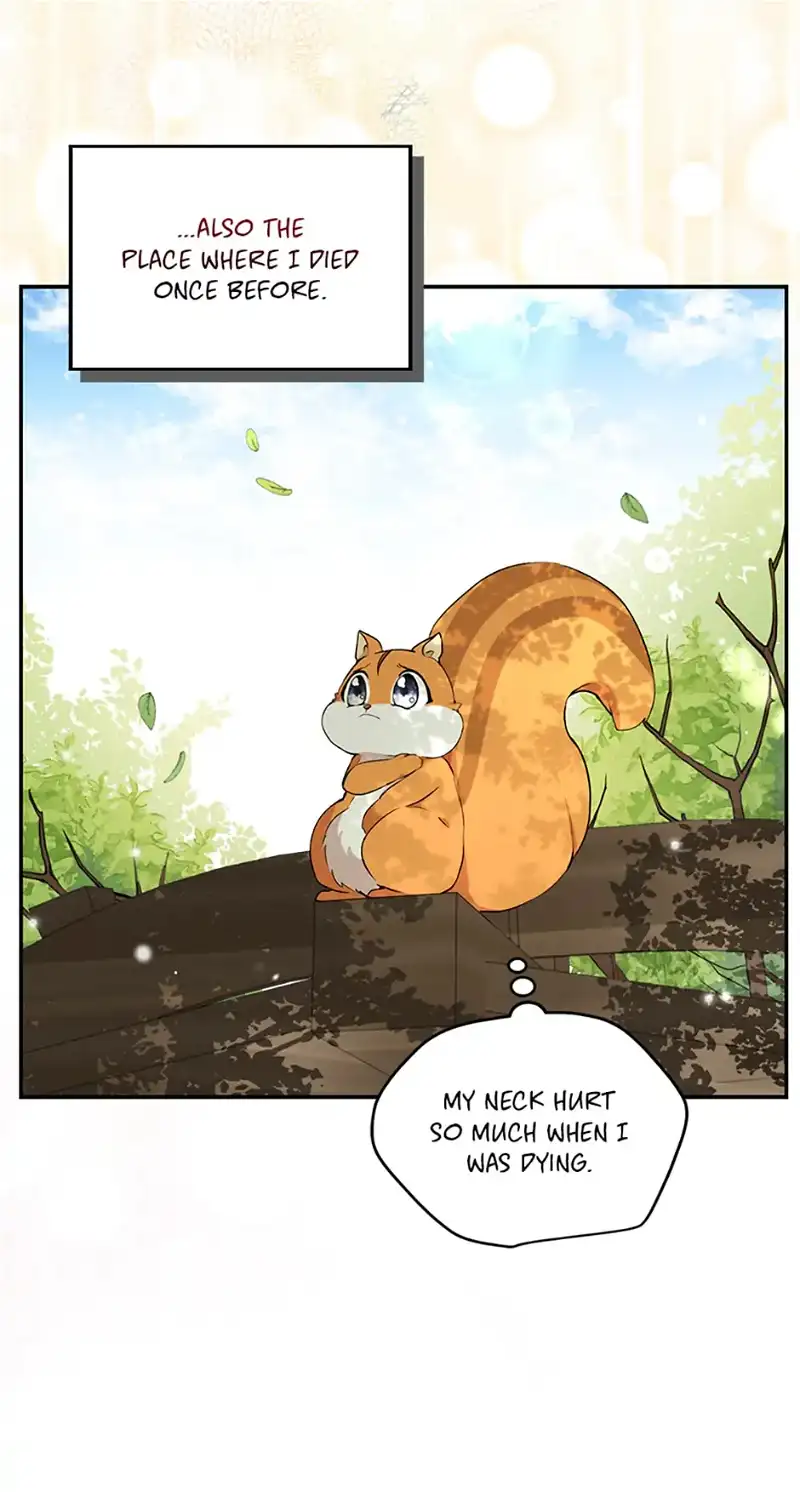 Talented baby squirrel Chapter 2 - page 80