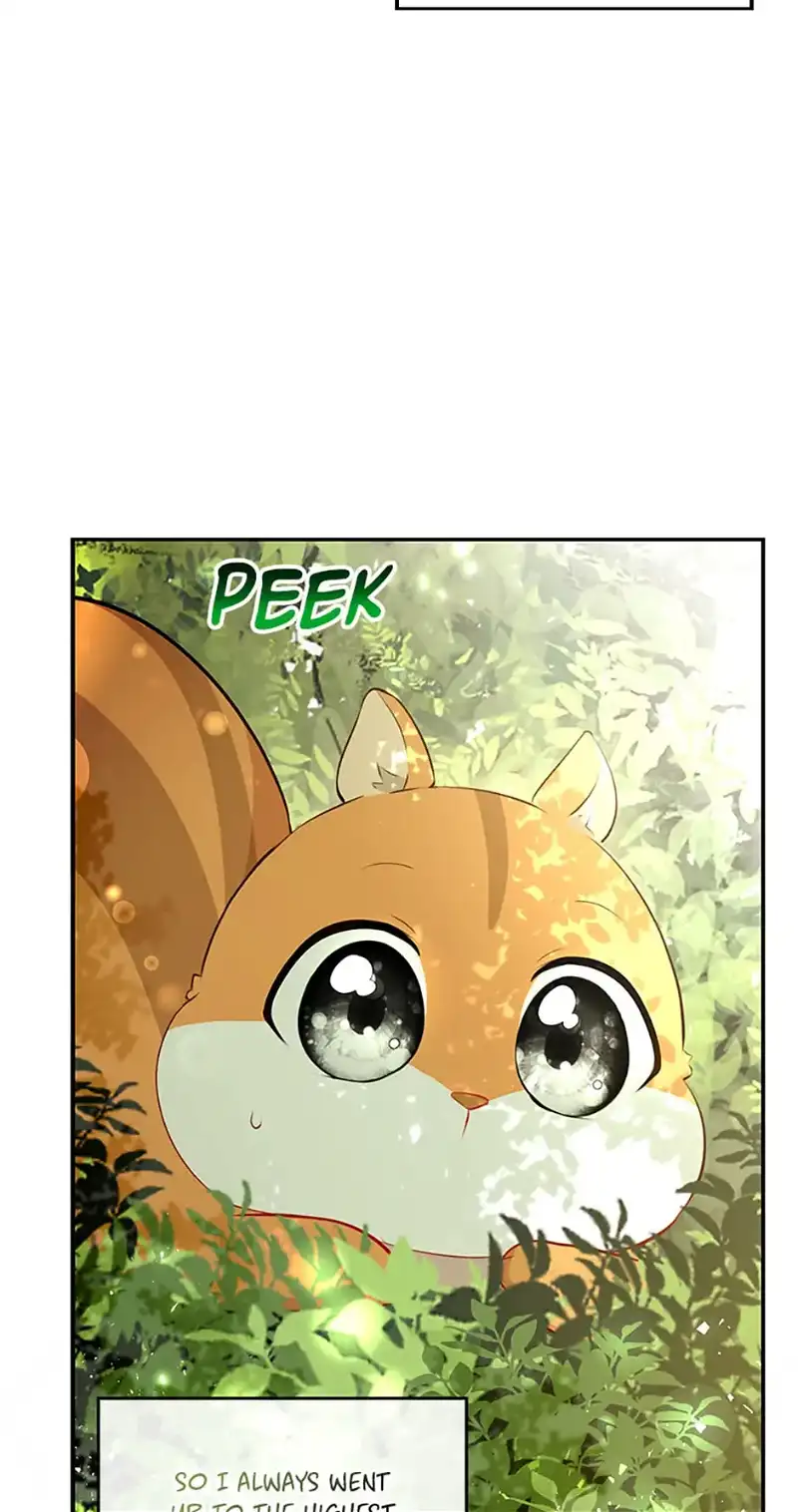Talented baby squirrel Chapter 22 - page 50