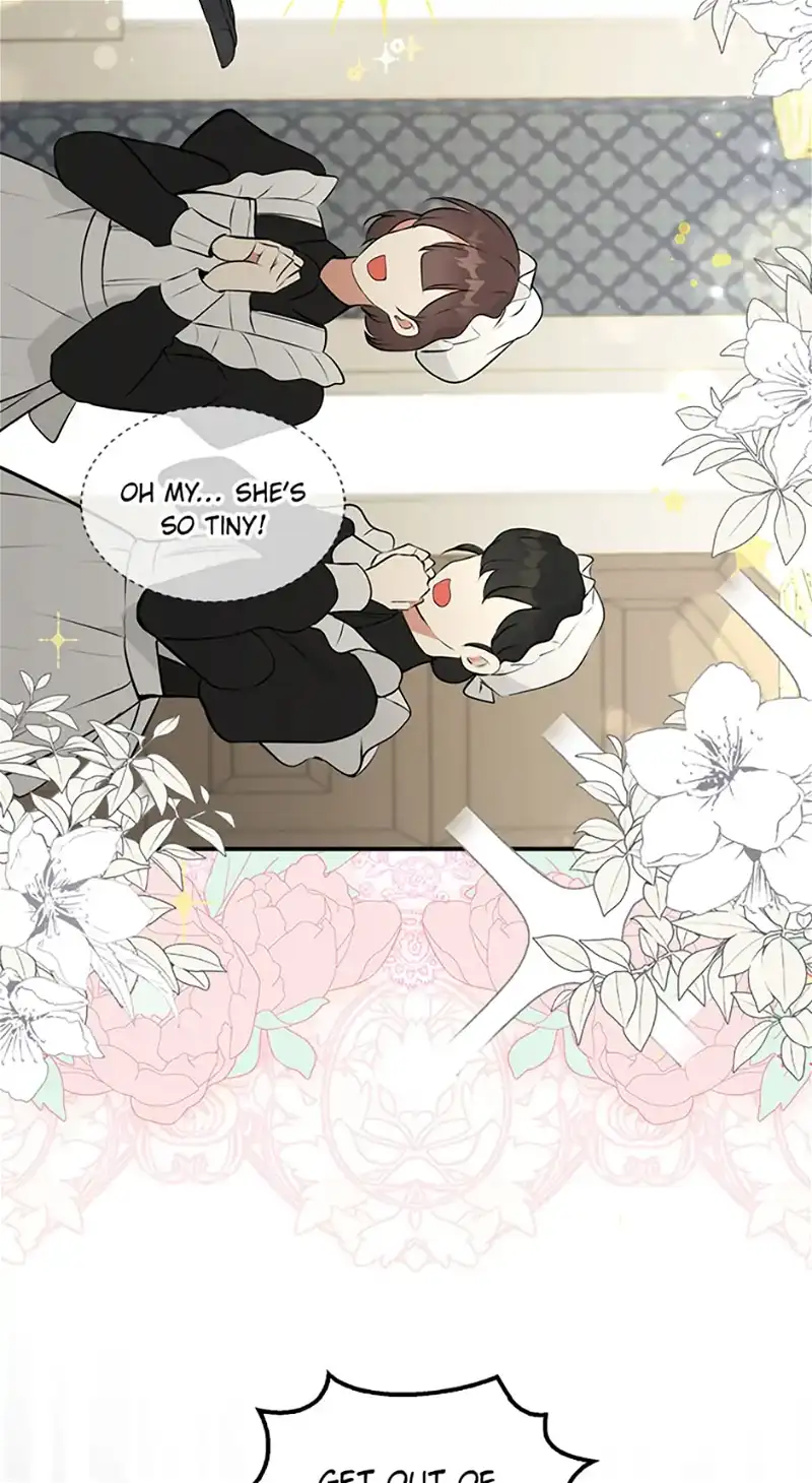Talented baby squirrel Chapter 3 - page 62