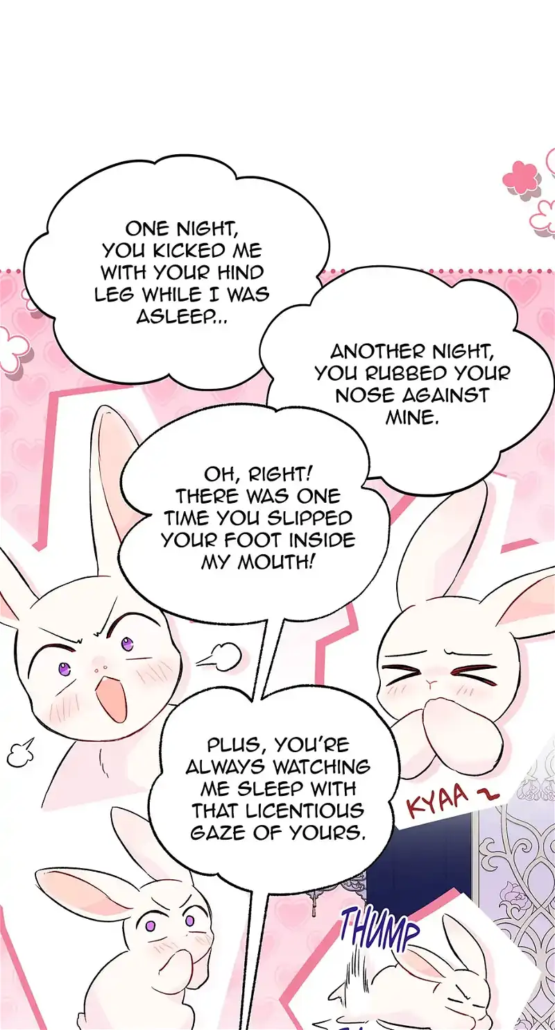 Little Rabbit and the Big Bad Leopard Chapter 53 - page 37