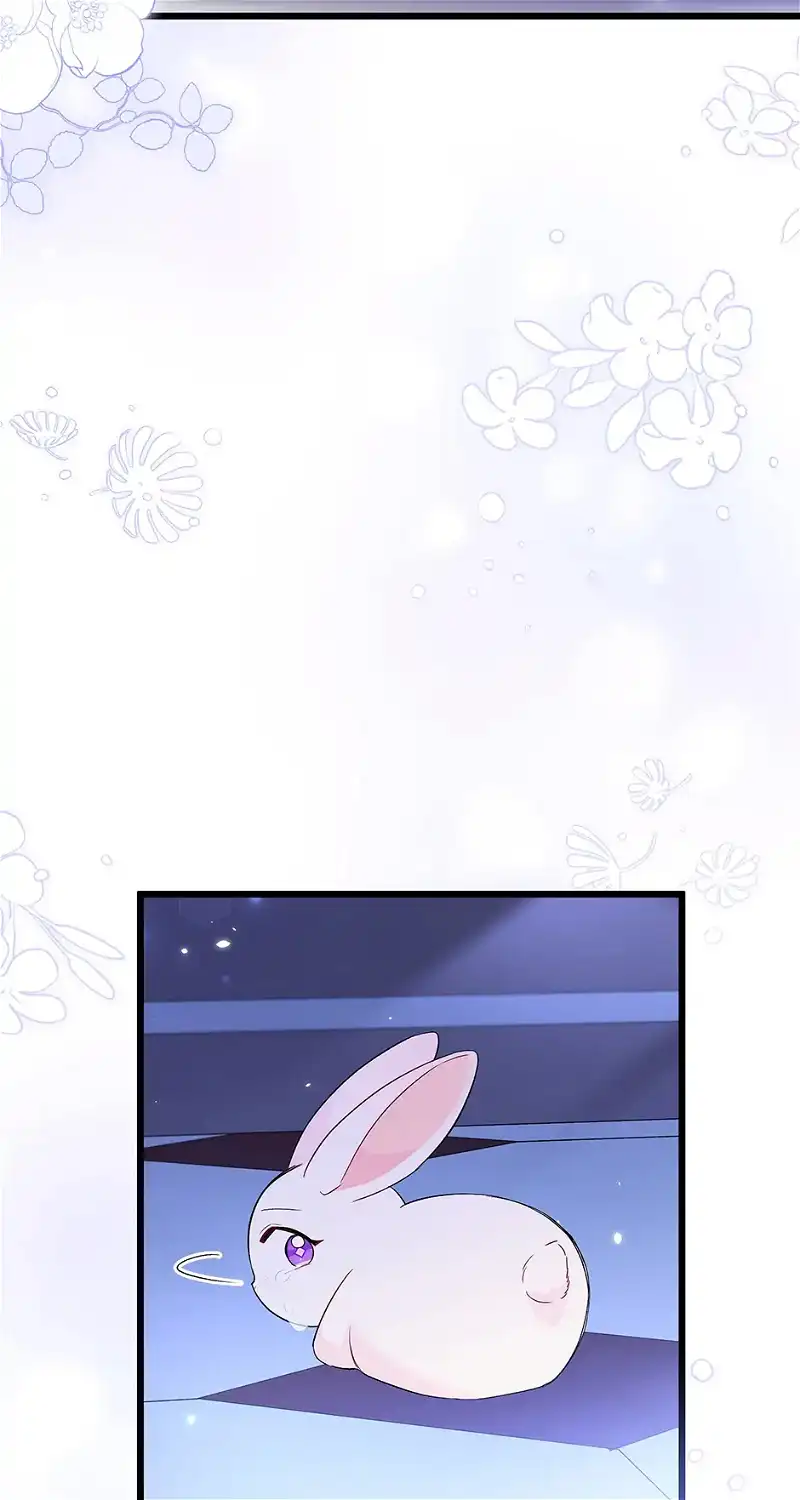 Little Rabbit and the Big Bad Leopard Chapter 58 - page 45