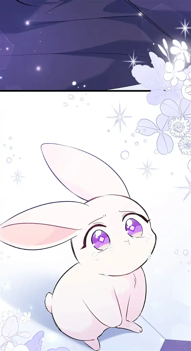 Little Rabbit and the Big Bad Leopard Chapter 58 - page 64