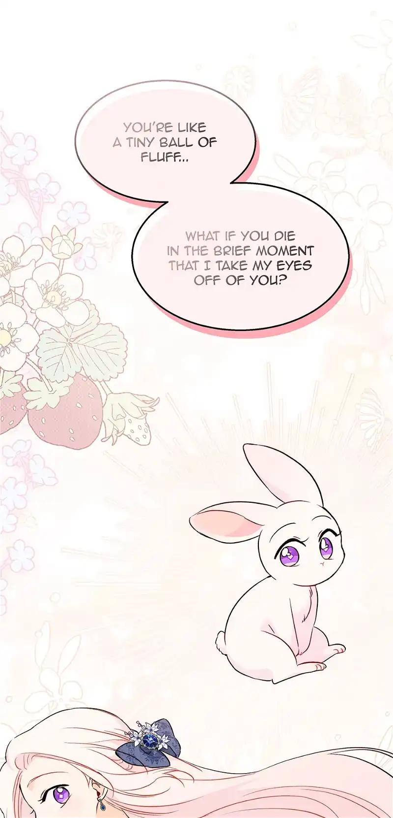 Little Rabbit and the Big Bad Leopard Chapter 93 - page 36